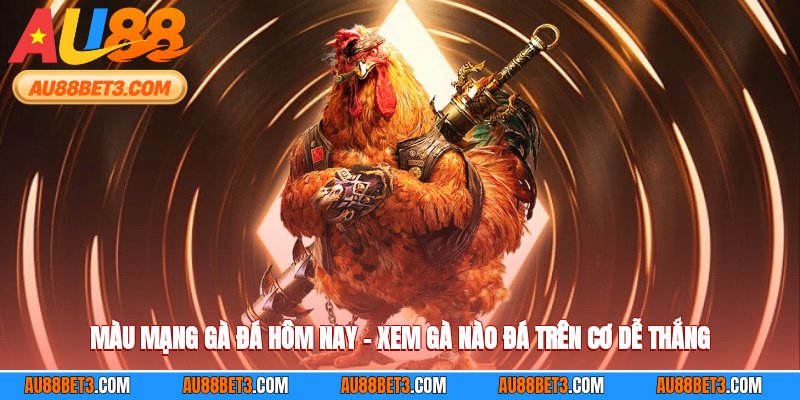 Màu Mạng Gà Đá Hôm Nay – Xem Gà Nào Đá Trên Cơ Dễ Thắng
