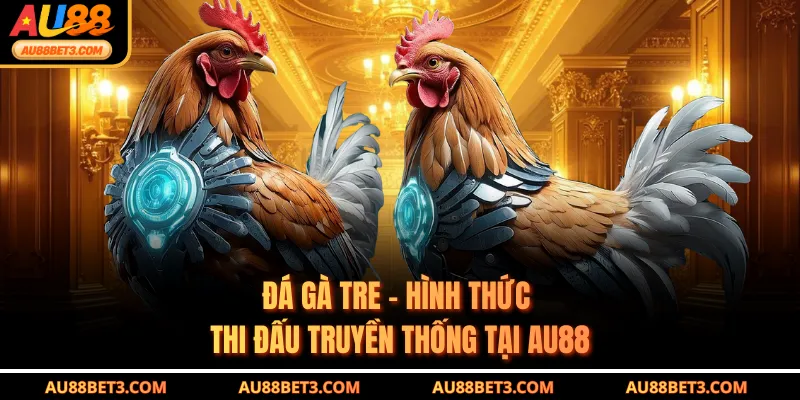 Đá Gà Tre - Hình Thức Thi Đấu Truyền Thống Tại AU88